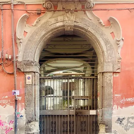 Tribunali 181 Daire *